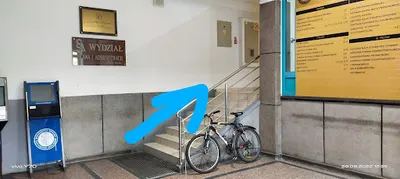 Faxon- Color Małgorzata Głogowska